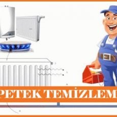 Radyatör (Petek) Temizliği